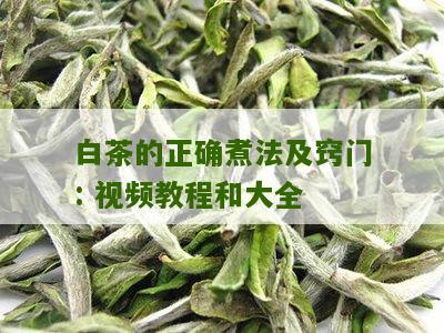 白茶的正确煮法及窍门: 视频教程和大全