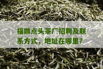 福鼎点头茶厂招聘及联系方式，地址在哪里？