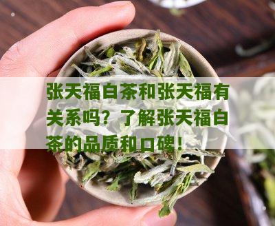 张天福白茶和张天福有关系吗？了解张天福白茶的品质和口碑！