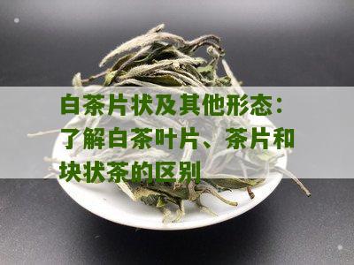 白茶片状及其他形态：了解白茶叶片、茶片和块状茶的区别