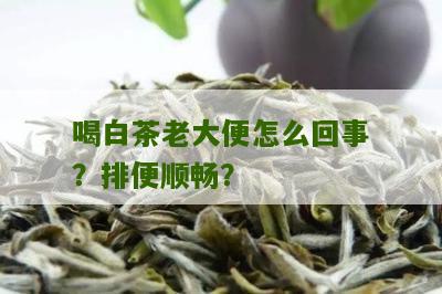 喝白茶老大便怎么回事？排便顺畅？