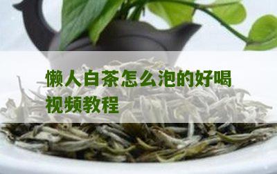 懒人白茶怎么泡的好喝视频教程