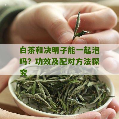 白茶和决明子能一起泡吗？功效及配对方法探究