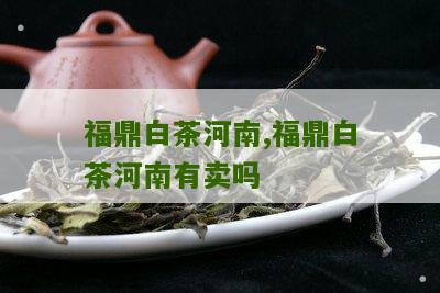 福鼎白茶河南,福鼎白茶河南有卖吗