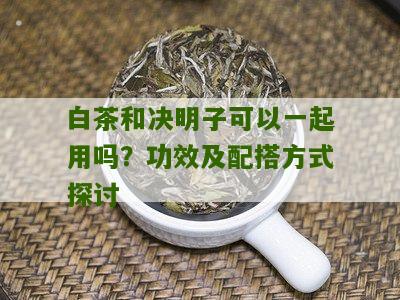 白茶和决明子可以一起用吗？功效及配搭方式探讨