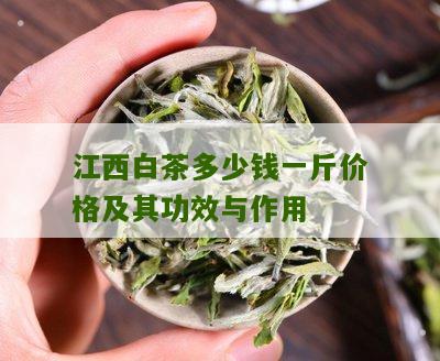 江西白茶多少钱一斤价格及其功效与作用