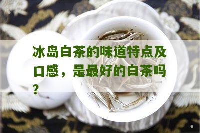 冰岛白茶的味道特点及口感，是最好的白茶吗？