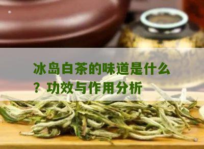 冰岛白茶的味道是什么？功效与作用分析