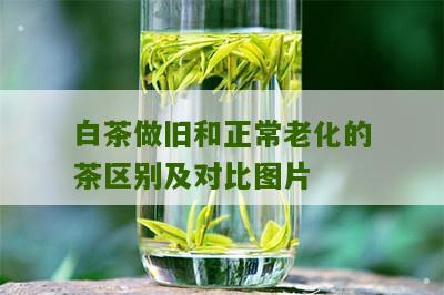 白茶做旧和正常老化的茶区别及对比图片