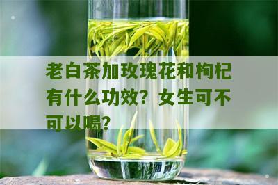 老白茶加玫瑰花和枸杞有什么功效？女生可不可以喝？