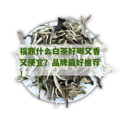 福鼎什么白茶好喝又香又便宜？品牌最好推荐！