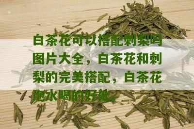 白茶花可以搭配刺梨吗图片大全，白茶花和刺梨的完美搭配，白茶花泡水喝的好处。