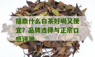 福鼎什么白茶好喝又便宜？品牌选择与正宗口感评测