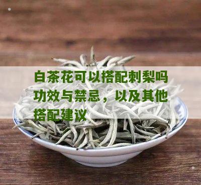 白茶花可以搭配刺梨吗功效与禁忌，以及其他搭配建议