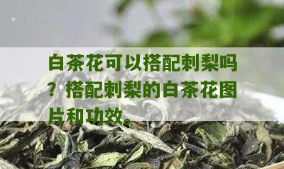 白茶花可以搭配刺梨吗？搭配刺梨的白茶花图片和功效。