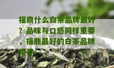 福鼎什么白茶品牌最好？品味与口感同样重要，福鼎最好的白茶品牌推荐！