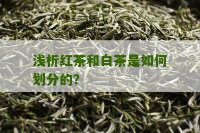 浅析红茶和白茶是如何划分的？