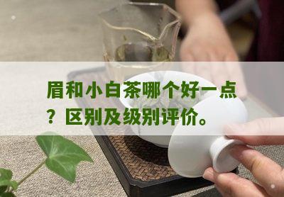 眉和小白茶哪个好一点？区别及级别评价。