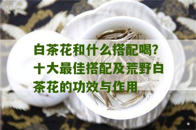 白茶花和什么搭配喝？十大最佳搭配及荒野白茶花的功效与作用