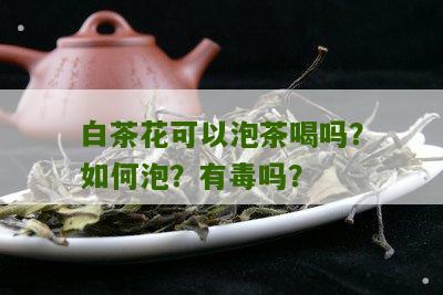 白茶花可以泡茶喝吗？如何泡？有毒吗？