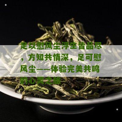 足以慰风尘浮生皆品尽，方知共情深，足可慰风尘——体验完美共鸣的心灵之旅