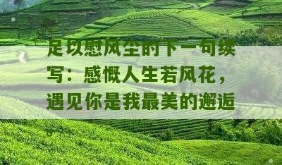 足以慰风尘的下一句续写：感慨人生若风花，遇见你是我最美的邂逅。