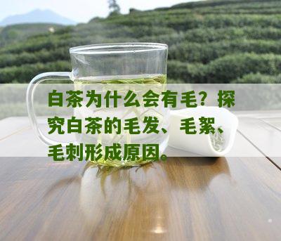 白茶为什么会有毛？探究白茶的毛发、毛絮、毛刺形成原因。