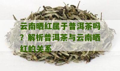 云南晒红属于普洱茶吗？解析普洱茶与云南晒红的关系