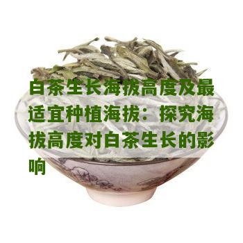 白茶生长海拔高度及最适宜种植海拔：探究海拔高度对白茶生长的影响