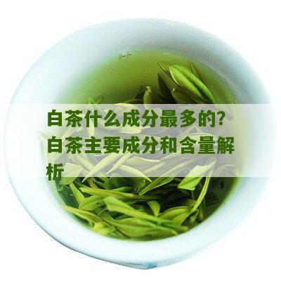 白茶什么成分最多的？白茶主要成分和含量解析