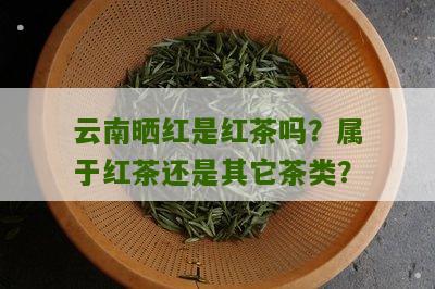 云南晒红是红茶吗？属于红茶还是其它茶类？