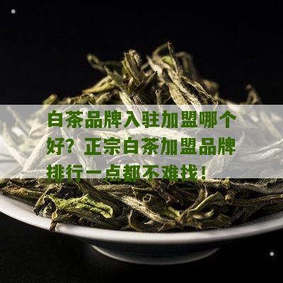 白茶品牌入驻加盟哪个好？正宗白茶加盟品牌排行一点都不难找！