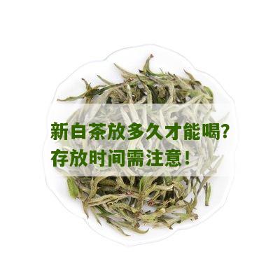 新白茶放多久才能喝？存放时间需注意！