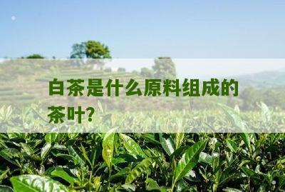 白茶是什么原料组成的茶叶？