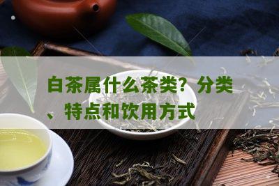 白茶属什么茶类？分类、特点和饮用方式