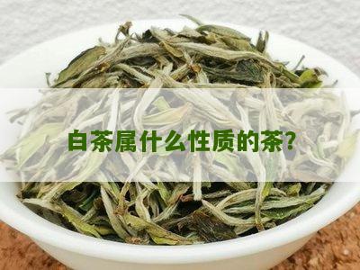 白茶属什么性质的茶？