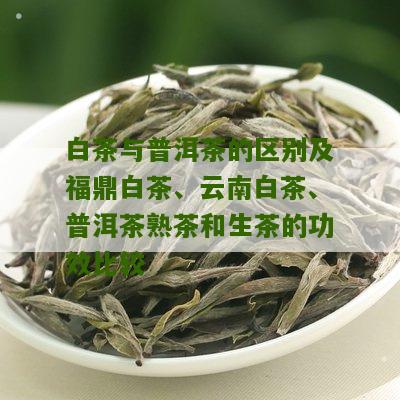 白茶与普洱茶的区别及福鼎白茶、云南白茶、普洱茶熟茶和生茶的功效比较