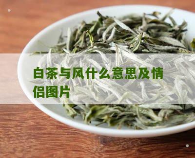 白茶与风什么意思及情侣图片