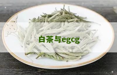 白茶与egcg