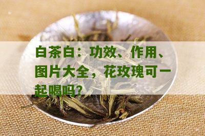 白茶白：功效、作用、图片大全，花玫瑰可一起喝吗？