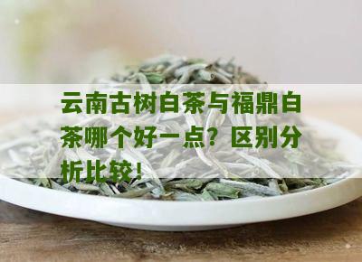 云南古树白茶与福鼎白茶哪个好一点？区别分析比较！