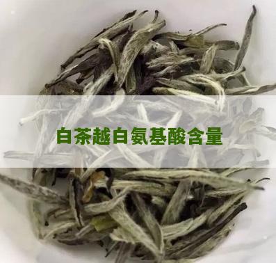 白茶越白氨基酸含量