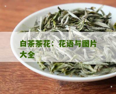 白茶茶花：花语与图片大全