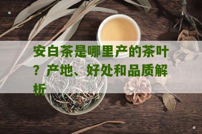 安白茶是哪里产的茶叶？产地、好处和品质解析