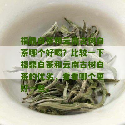 福鼎白茶和云南古树白茶哪个好喝？比较一下福鼎白茶和云南古树白茶的优劣，看看哪个更好一些。