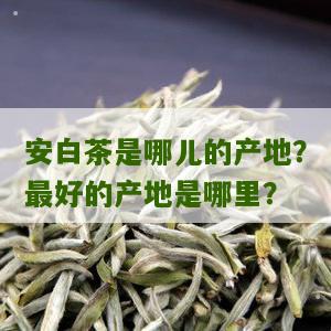 安白茶是哪儿的产地？最好的产地是哪里？