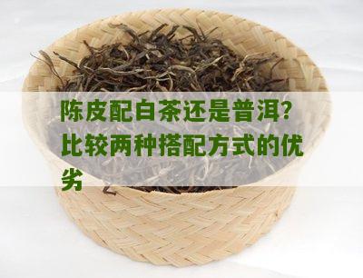 陈皮配白茶还是普洱？比较两种搭配方式的优劣