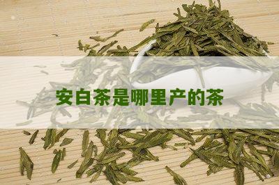 安白茶是哪里产的茶