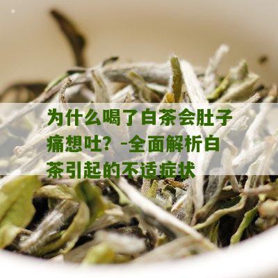 为什么喝了白茶会肚子痛想吐？-全面解析白茶引起的不适症状