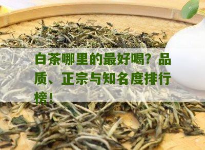 白茶哪里的最好喝？品质、正宗与知名度排行榜！